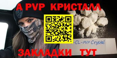 шишки Будённовск