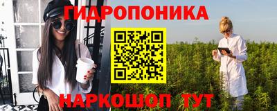 шишки Будённовск