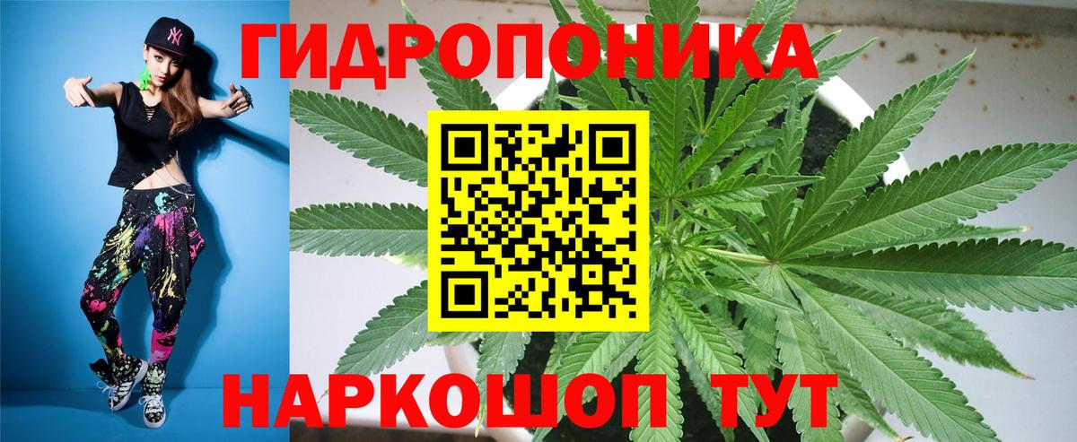 Бошки марихуана SATIVA & INDICA  Вход с VPN  Бошки марихуана VHQ  Курчалой 